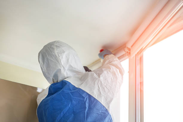 Why You Should Choose Our Mold Remediation Services in Glasgow Village, MO